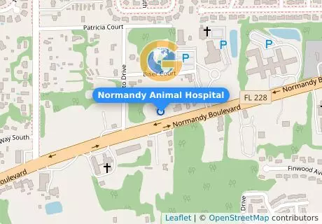 Normandy Animal Hospital