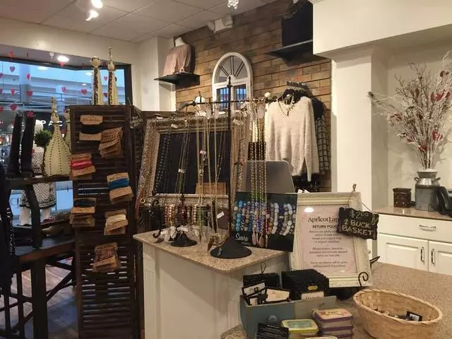 Apricot Lane Boutique - Jacksonville