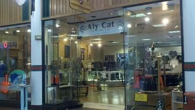 Aly Cat
