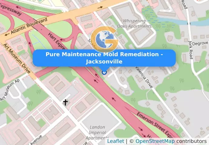 Pure Maintenance Mold Remediation - Jacksonville