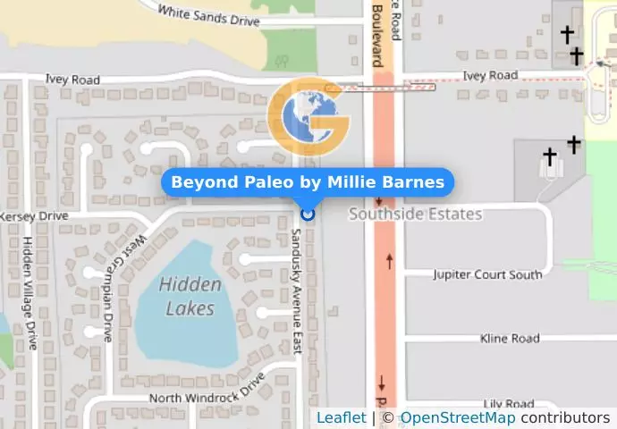 Beyond Paleo by Millie Barnes