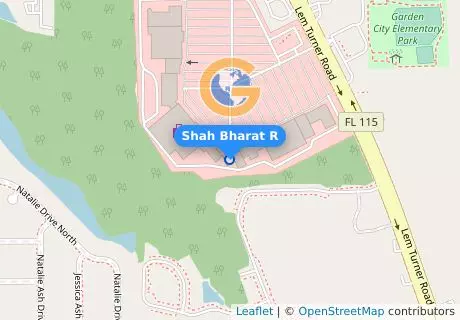 Shah Bharat R
