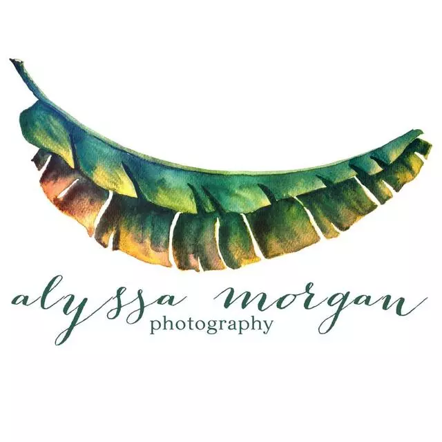 Alyssa Morgan Photography