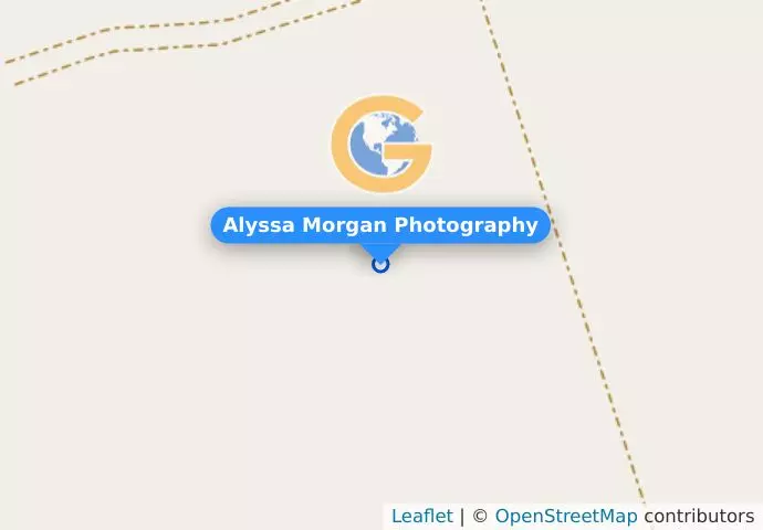 Alyssa Morgan Photography