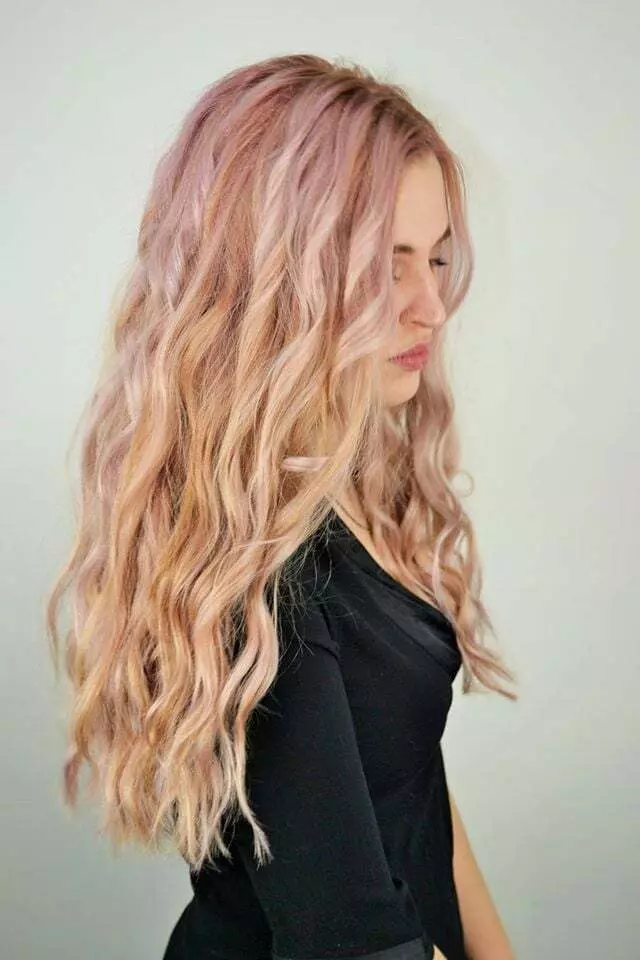 Aveda Institute Jacksonville