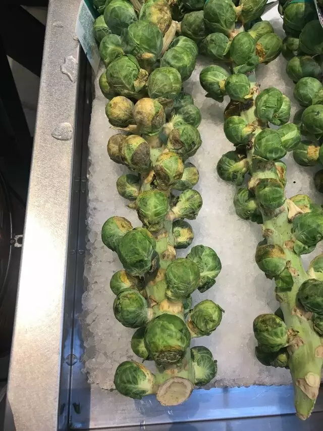Earth Fare