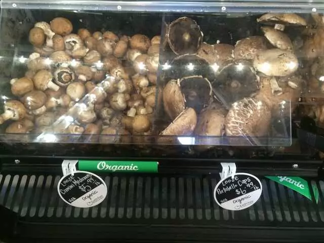 Earth Fare