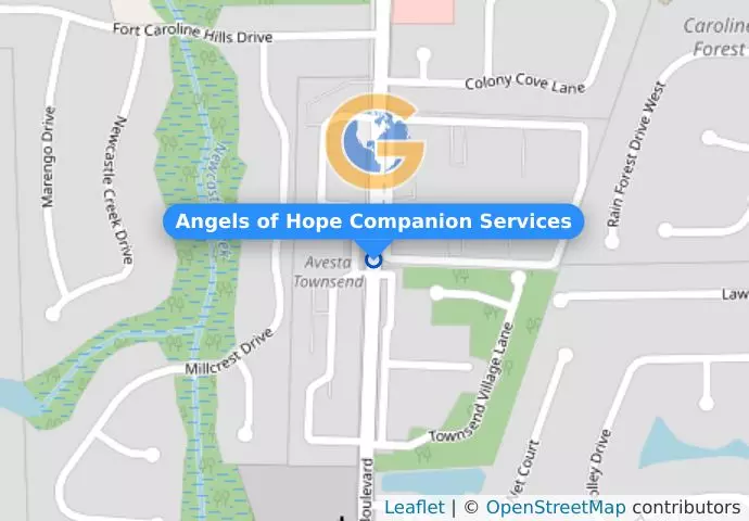 Angels of Hope Companion Services