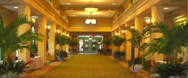 Aloha Interior Plants