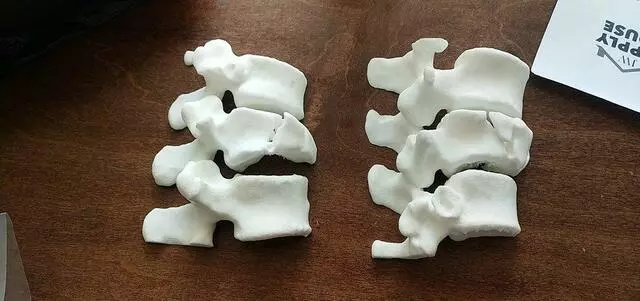 3D Printed Evidence