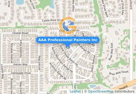 AAA Professional Painters Inc