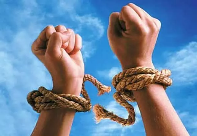 Life Renewal