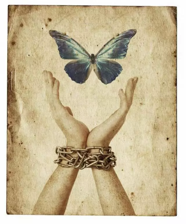 Life Renewal