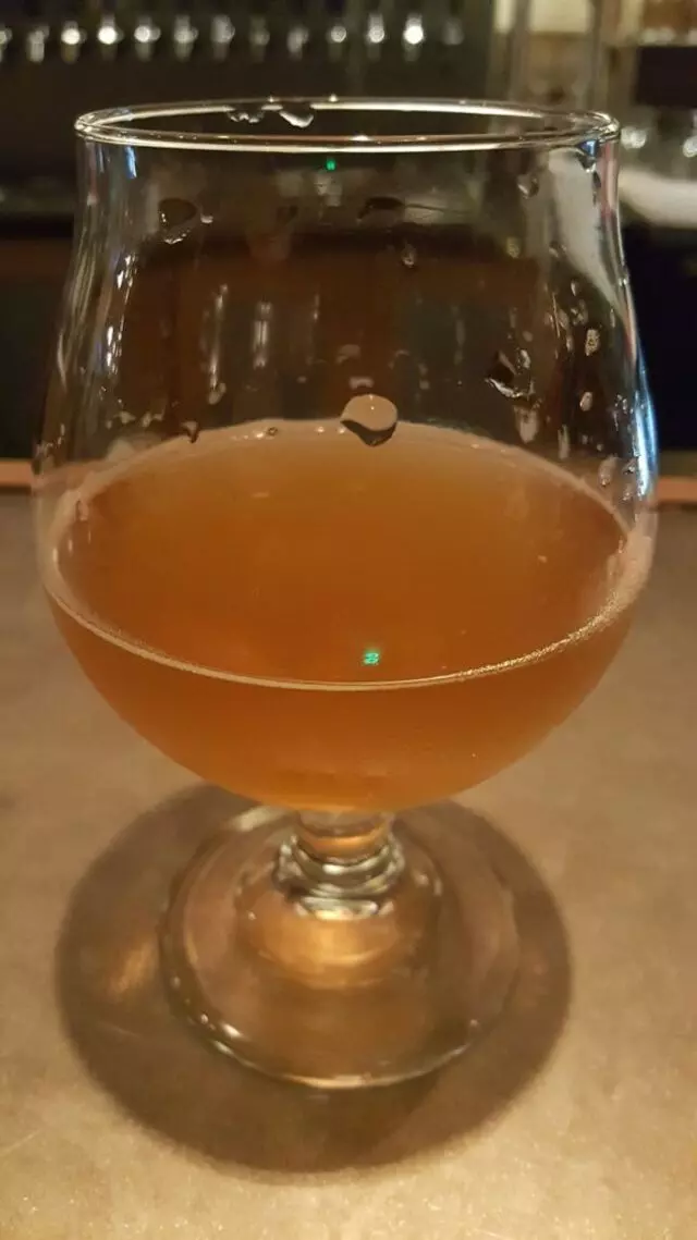 Aardwolf Brewing Company