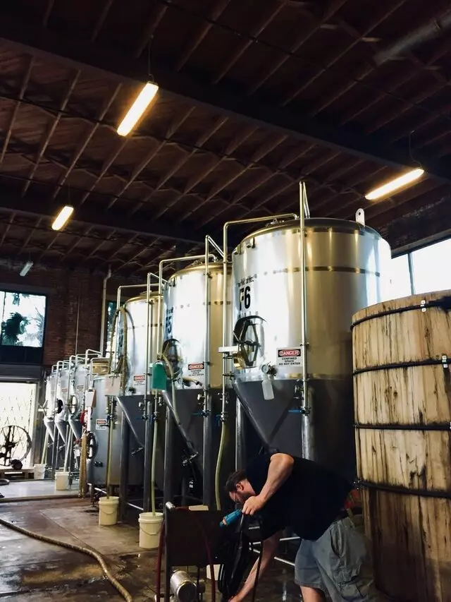 Aardwolf Brewing Company