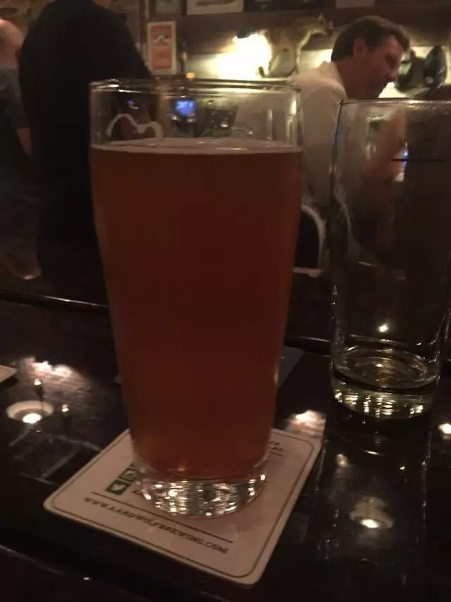 Aardwolf Brewing Company