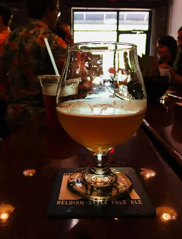 Aardwolf Brewing Company