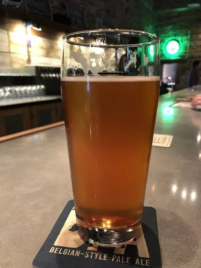 Aardwolf Brewing Company