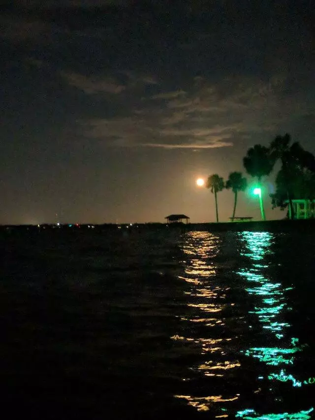 Adventure Kayak Florida
