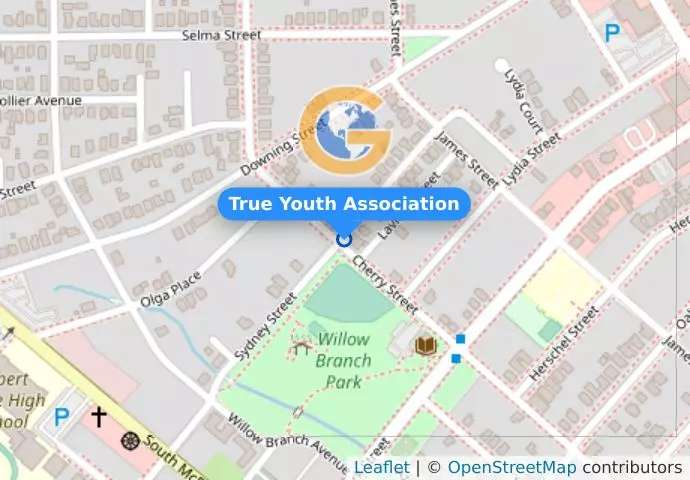 True Youth Association
