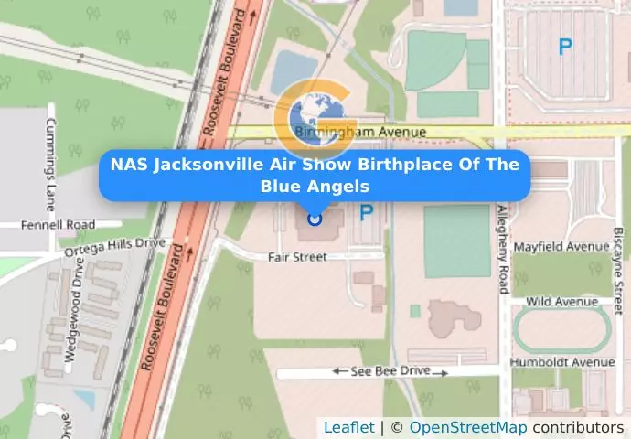 NAS Jacksonville Air Show  Birthplace Of The Blue Angels