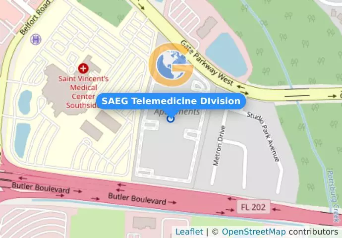 SAEG Telemedicine DIvision