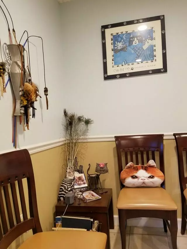 A Cat Clinic