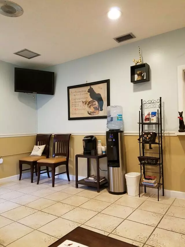 A Cat Clinic