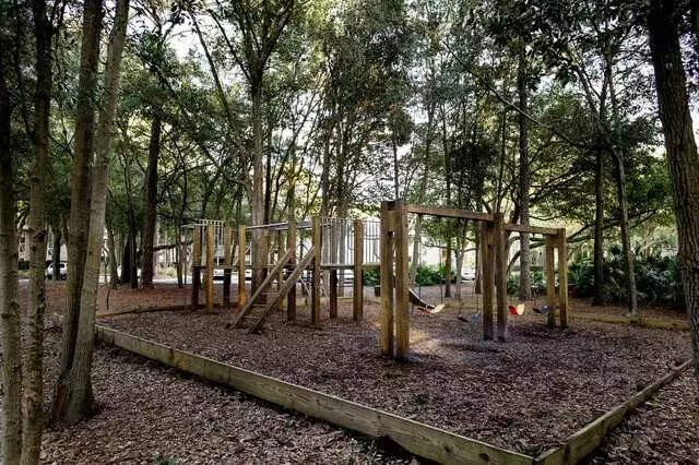 Arium St. Johns