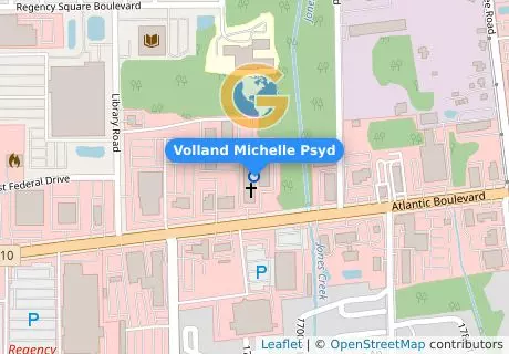 Volland Michelle Psyd