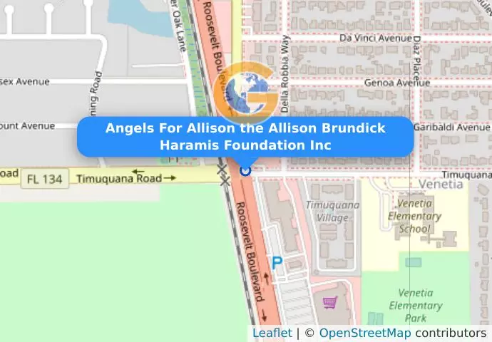 Angels For Allison  the Allison Brundick Haramis Foundation Inc