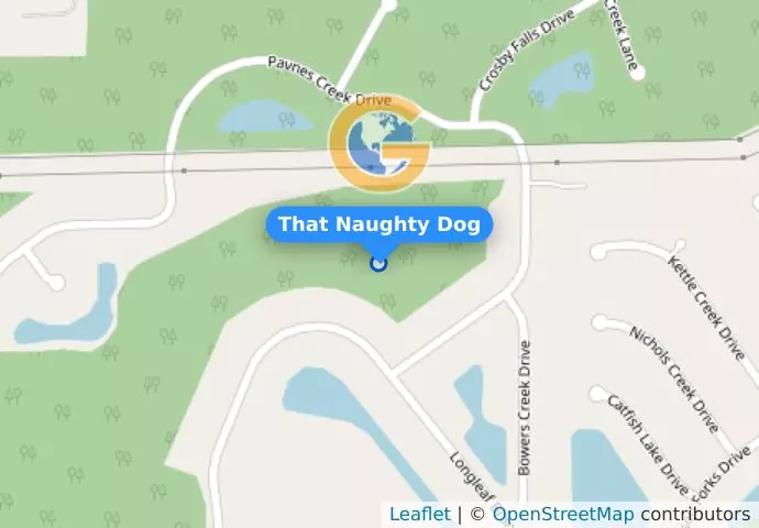 That Naughty Dog