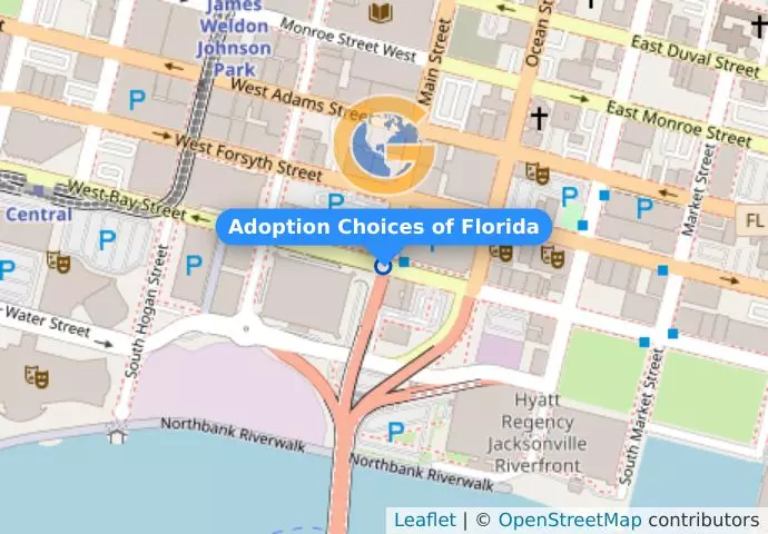 Adoption Choices of Florida
