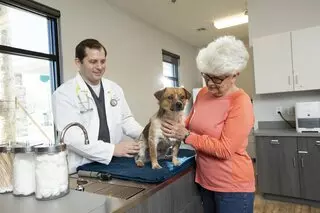 Pet Paradise Jacksonville Hospital