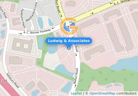 Ludwig & Associates