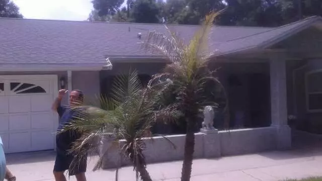 Align Roofing