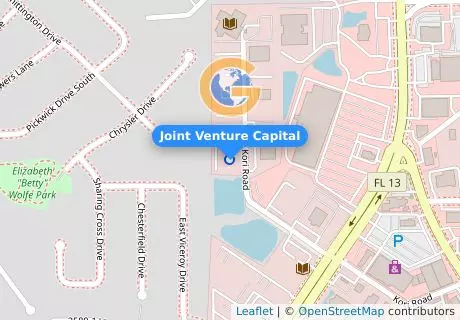 Joint Venture Capital