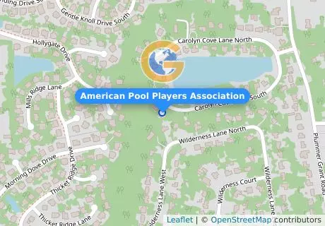 American Pool Players Association