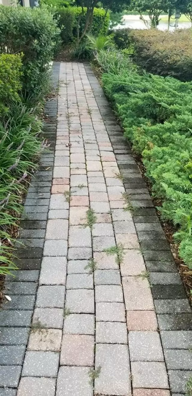 Angel’s Pressure Washing