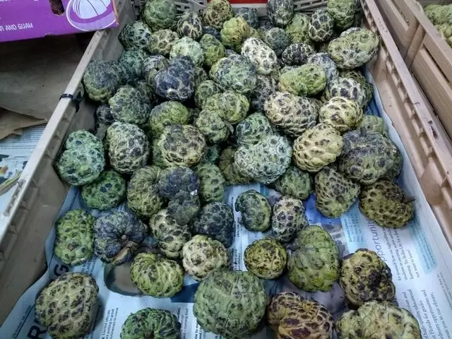 Bayon Asian Market