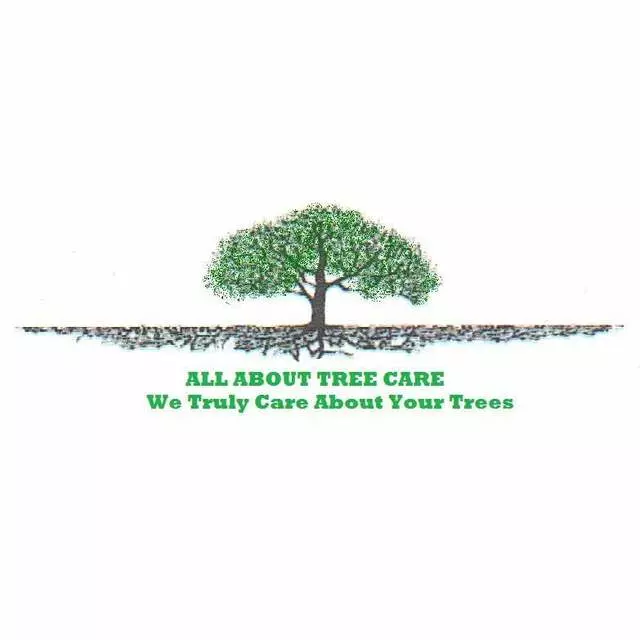 All About Tree Care