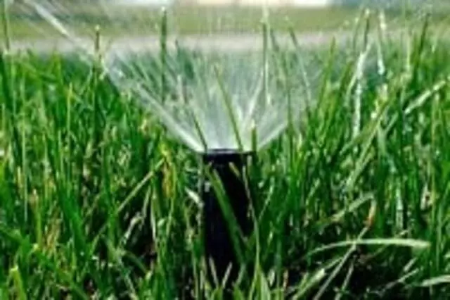 Action Irrigation