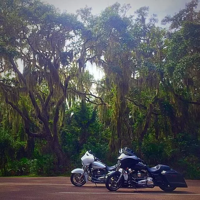 Adamec Harley-Davidson