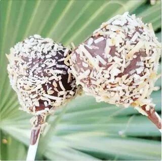 Fit Fab Foods