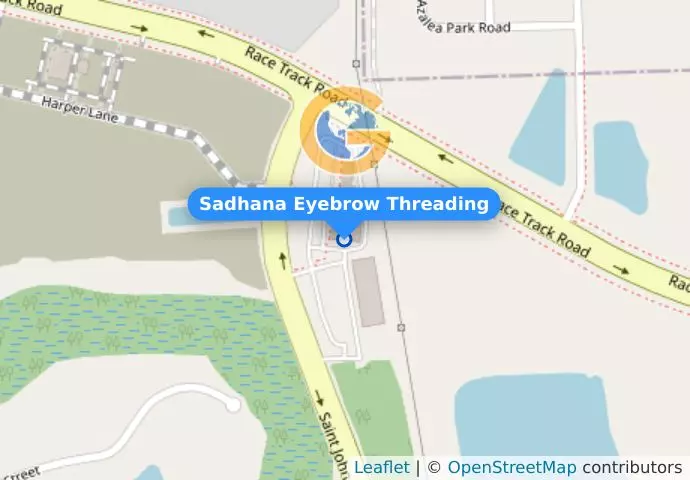Sadhana Eyebrow Threading