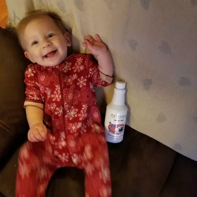 Webb's Carpet Care
