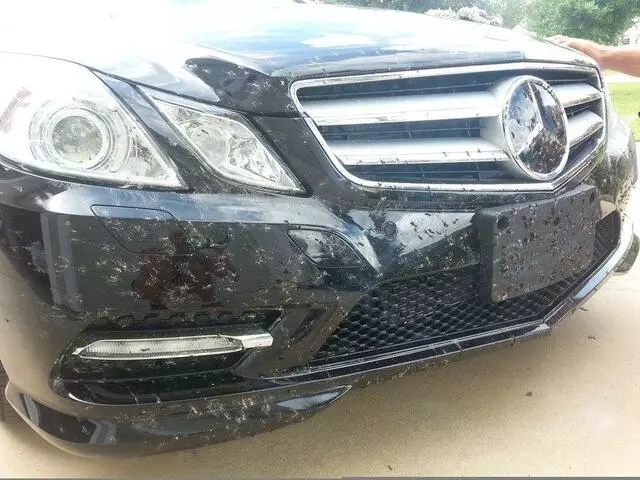 American Detailing