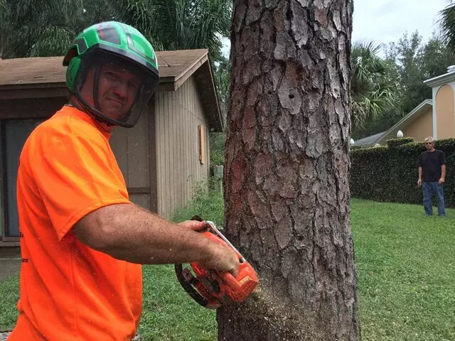 Above and Beyond Tree Services