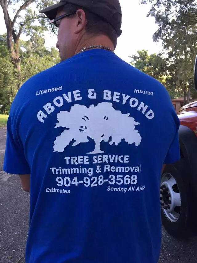 Above and Beyond Tree Services