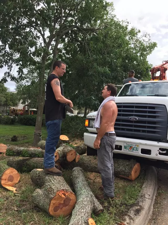Above and Beyond Tree Services